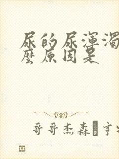 尿的尿浑浊是什么原因是