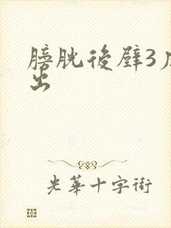 膀胱后壁3度膨出