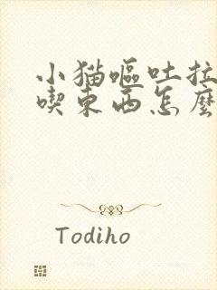 小猫呕吐拉稀不吃东西怎么办