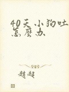 40天小狗吐食怎么办