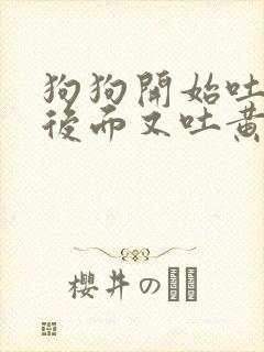 狗狗开始吐白沫后面又吐黄水咋办