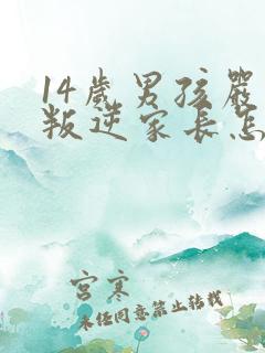 14岁男孩严重叛逆家长怎么办