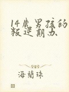 14岁男孩的是叛逆期办