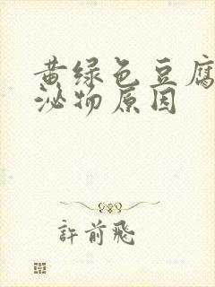 黄绿色豆腐渣分泌物原因