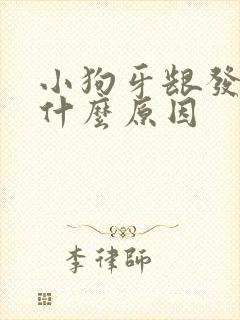 小狗牙龈发白是什么原因