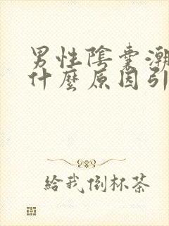 男性阴囊潮湿是什么原因引起