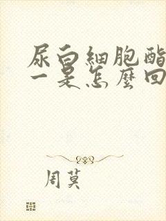 尿白细胞酯酶十一是怎么回事严重吗