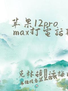 苹果12pro max打电话听不见声音
