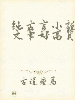纯古言小说推荐文笔好高质量