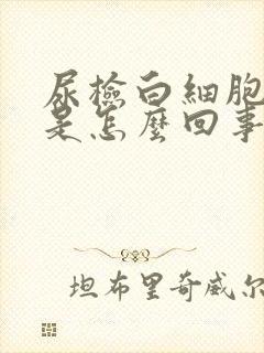 尿检白细胞47是怎么回事