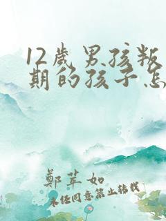 12岁男孩叛逆期的孩子怎么去引导