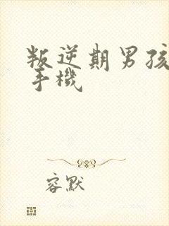 叛逆期男孩沉迷手机