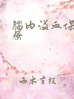 脑内溢血保守治疗