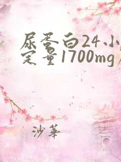 尿蛋白24小时定量1700mg严重吗