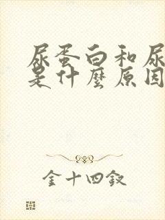 尿蛋白和尿隐血是什么原因引起的