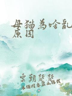 母猫为啥乱尿的原因