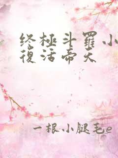 终极斗罗小说 复活帝天