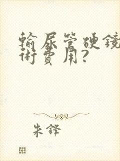 输尿管硬镜取石术费用?