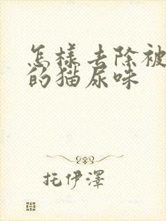 怎样去除被子上的猫尿味