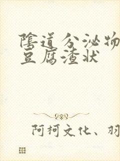 阴道分泌物白色豆腐渣状