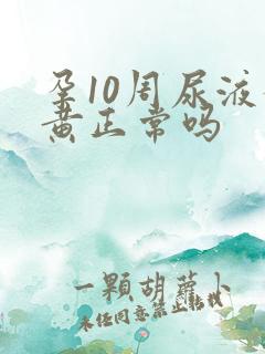 孕10周尿液发黄正常吗