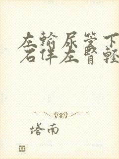 左输尿管下段结石伴左肾轻度积水