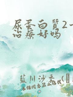 尿蛋白质2十能治疗好吗