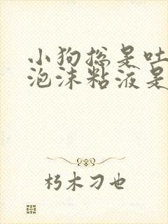 小狗总是吐白色泡沫粘液是怎么回事