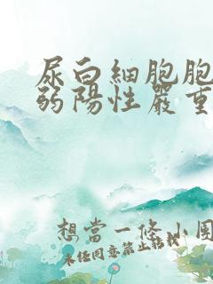 尿白细胞胞酯酶弱阳性严重吗