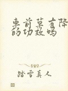 车前草有降尿酸的功效吗