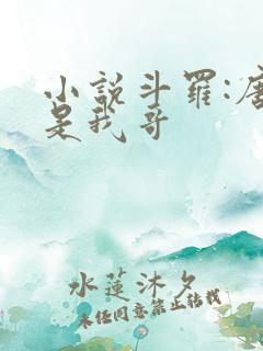 小说斗罗:唐三是我哥