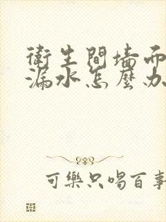 卫生间墙面的砖漏水怎么办