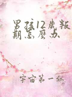 男孩12岁叛逆期怎么办