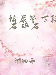 输尿管 下段结石 碎石