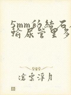 5mm的结石在输尿管里多久能排出