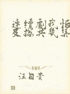 连续剧我怕来不及总共几集