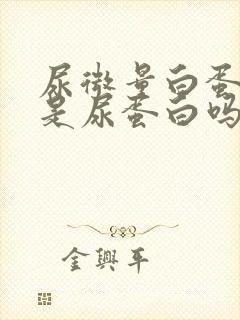 尿微量白蛋白就是尿蛋白吗