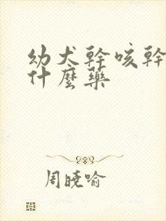 幼犬干咳干呕吃什么药