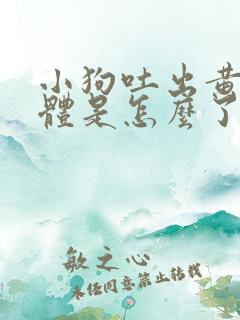 小狗吐出黄色液体是怎么了