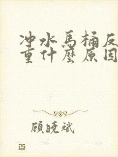 冲水马桶反味很重什么原因