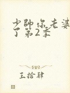 少帅你老婆又跑了第2季