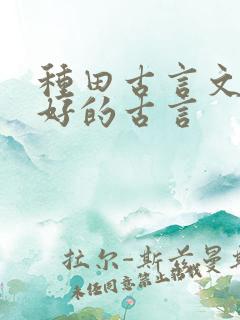 种田古言文笔超好的古言