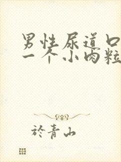 男性尿道口长了一个小肉粒