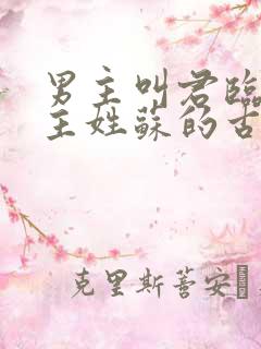 男主叫君临渊女主姓苏的古言小说