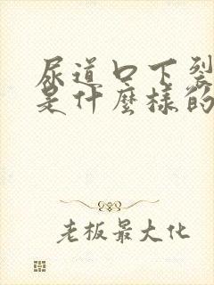 尿道口下裂症状是什么样的