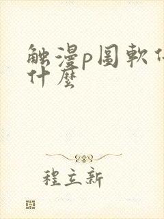 触漫p图软件是什么