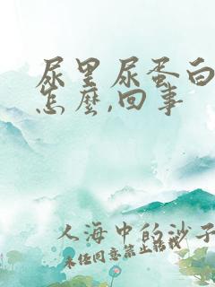 尿里尿蛋白高是怎么,回事