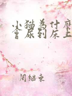 小猫为什么晚上会尿到床上去