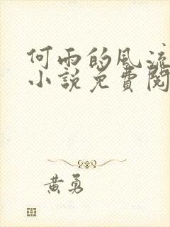 何雨的风流人生小说免费阅读