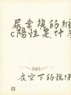 尿常规的维生素c阳性是什么意思